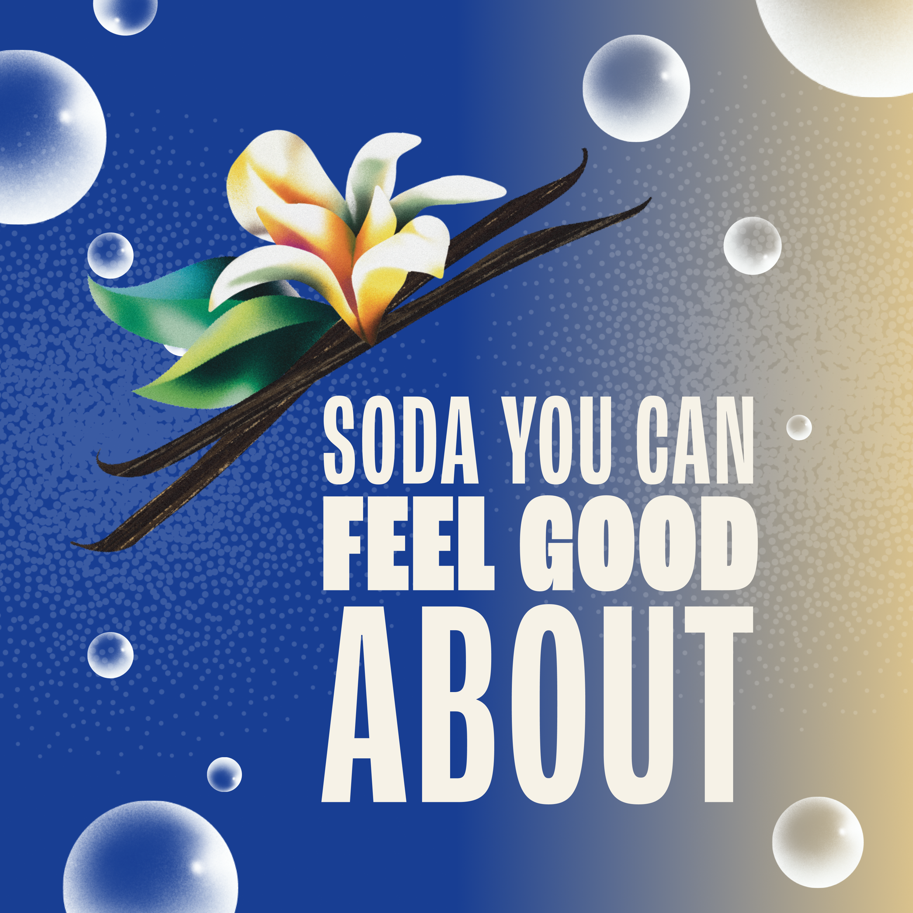 Vanilla flower and vanilla bean with bubbles on a gradient background, featuring text 'Soda You Can Feel Good About'.