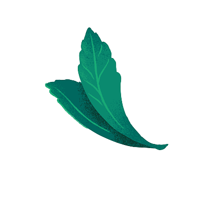 left leaf