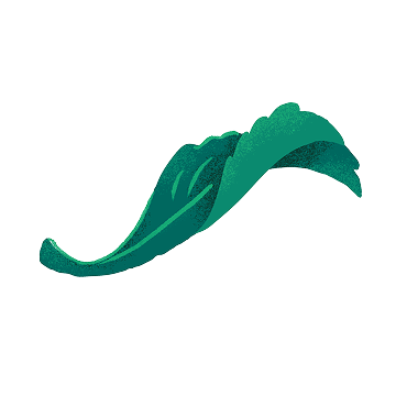 right leaf